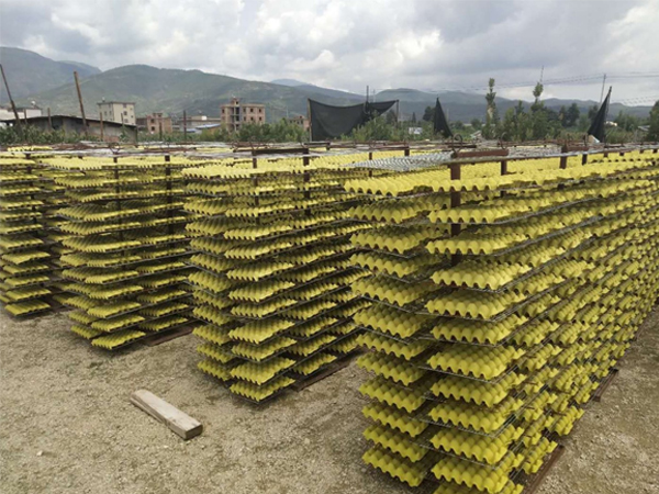 �����͵��ЙC(j��)�F(xi��n)��